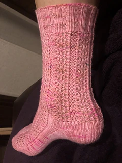 16 leg eyelet repeats