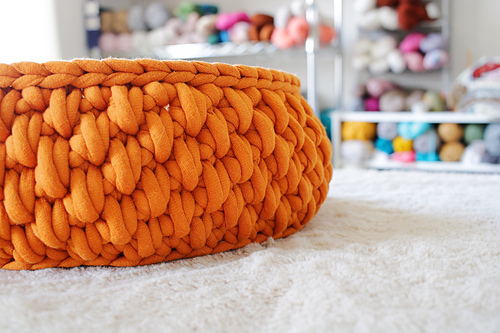 Big Little Pet Bed photo 10