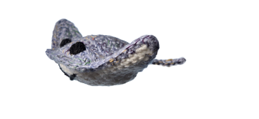 sub