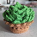 Succulent Plant Pot Coaster Set photo 3