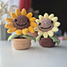 Sunflower in a pot pattern 