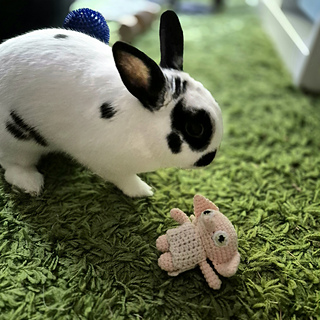 Mini House Elf: Size comparison to Luna the Bunny
