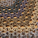 Peephole Stitch Shawl pattern