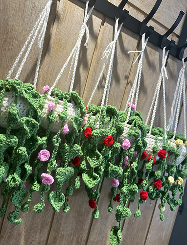 Hanging Vine Plants