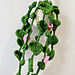 Hanging Vine Plants pattern