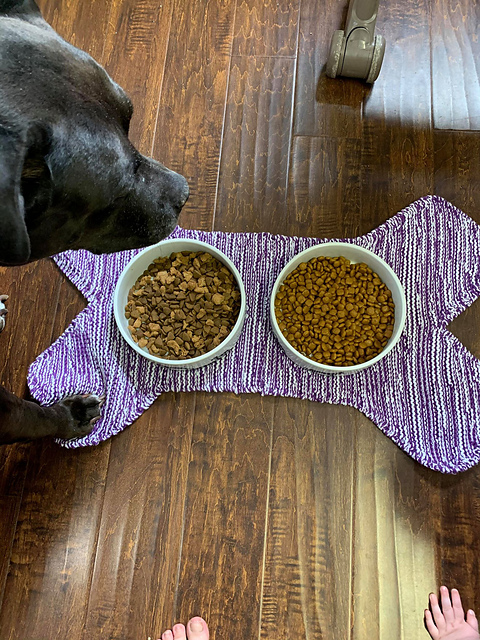 dog dish placemat