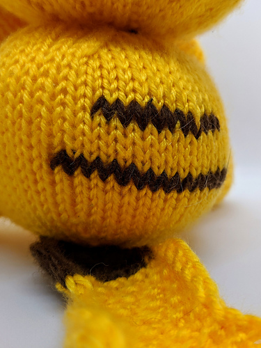 Petit Pikachu photo 5