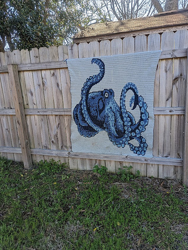 Throw - Stacie Renda