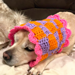 Checkered Dog Snood pattern 
