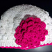 Flat Rose Flower photo 3
