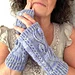Pinnate Gloves pattern 