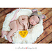 Littlest Mouse photo 4