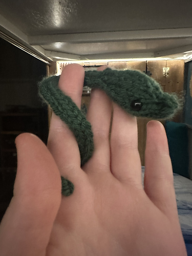 Pocket Snake