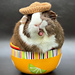 Guinea Pig Sombrero pattern 