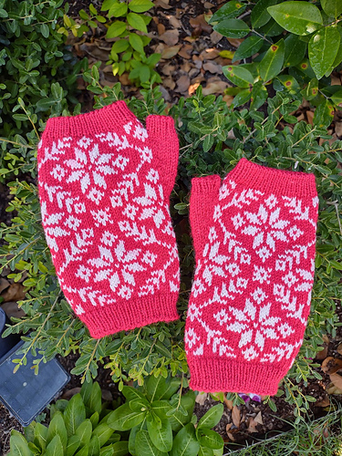 Peppermint Snowflakes - Sarah Pineda