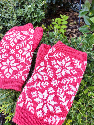 Peppermint Snowflakes - Sarah Pineda