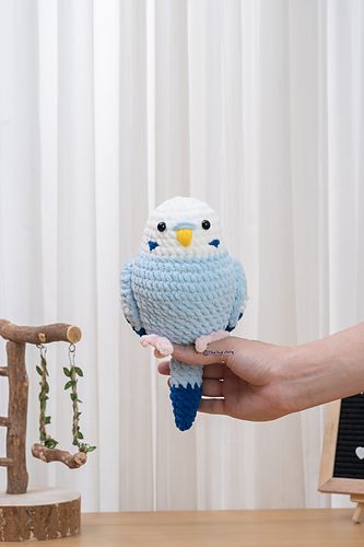 Parrot Blue Budgie