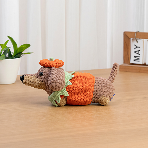 Dachhund with Pumpkin Sweater and Hat