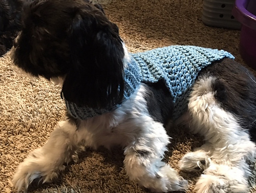 MILO Sweater photo 3
