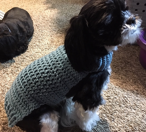 MILO Sweater photo 1