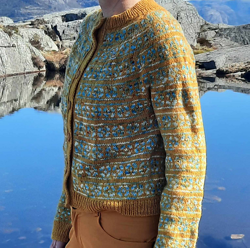 Trollfjord Cardigan - Tone Cecilie