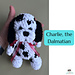 Charlie, the Dalmatian pattern 