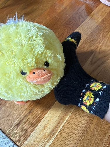 Duck Around And Find Out