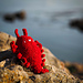 Lobster pattern