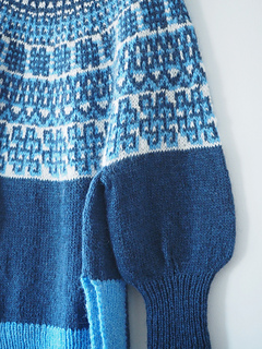 Balloon sleeve detail