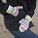 Miss Rumphius Mittens pattern 