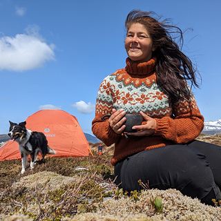 Oransje: Vams fra Raumagarn 42, 309, 303 & 412
