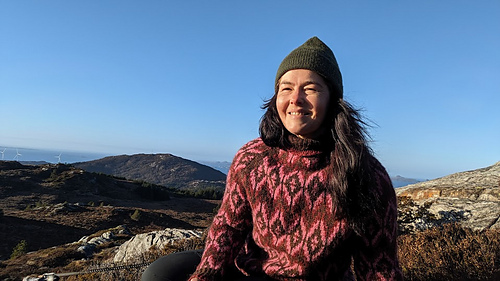 Platulopi fra Istex 1032, 2027 & 1425