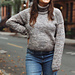 Hawthorne Turtleneck pattern 