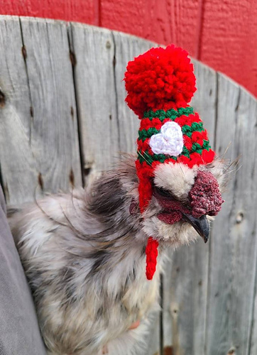 Ravelry: Chicken Hat pattern by Uniquely More