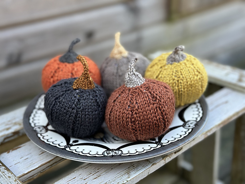 Munchkin Pumpkins photo 2