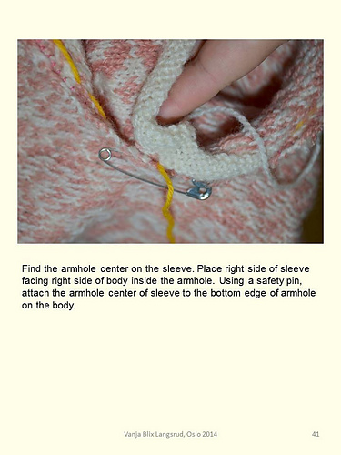 Ferdiggjøring og stikkepåse for dumme (Finishing and Steeking for Dummies) - Vanja Blix Langsrud