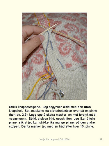 Ferdiggjøring og stikkepåse for dumme (Finishing and Steeking for Dummies) - Vanja Blix Langsrud