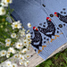 Henny Penny Chicken Vest pattern 