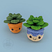 Succulent Cutie pattern 
