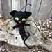Plagg from  Miraculous Ladybug pattern 