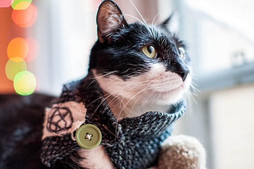 The Triangle Cowl for Tiny Creatures photo 1