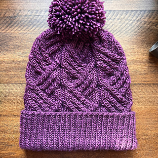 Malabrigo Worsted in Uva