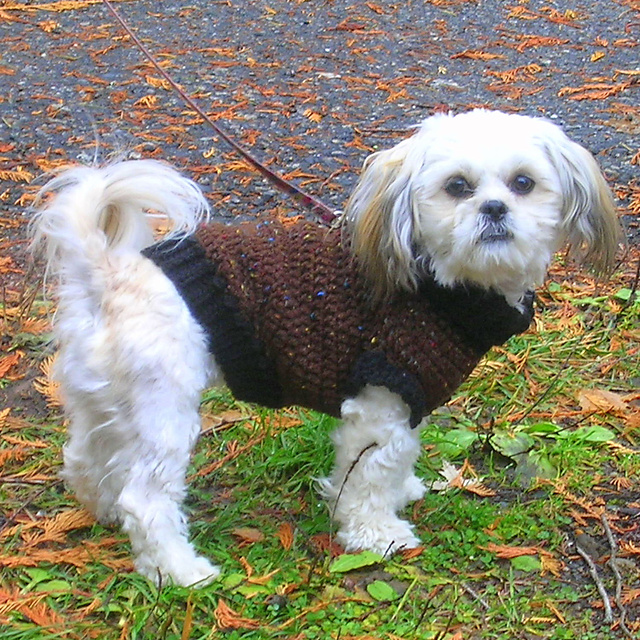 EMMA Little Dog Sweater