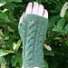 Eden pattern 