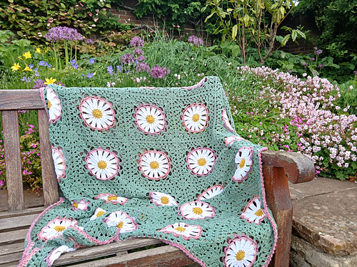 Blushing Daisies Blanket
