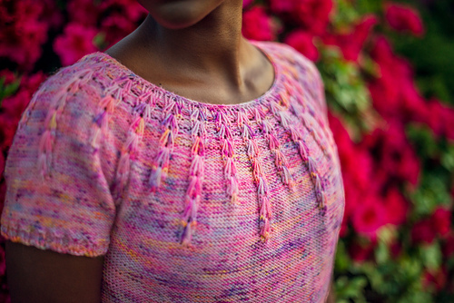 Sommer Sorrel - 