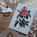 Cupcake Appliqué photo 4