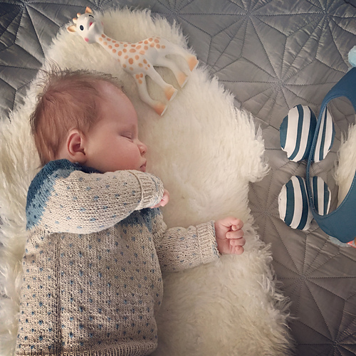 Williams-lusegenser - Ragnhild Maria Samstad