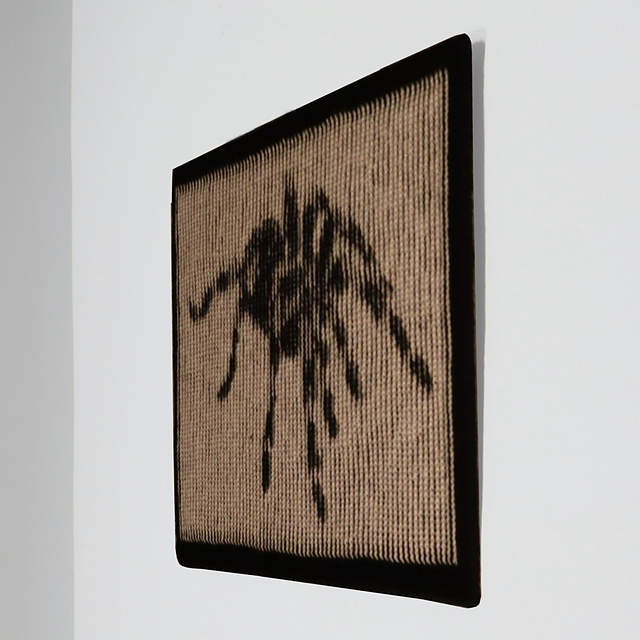 Arachnid Illusion