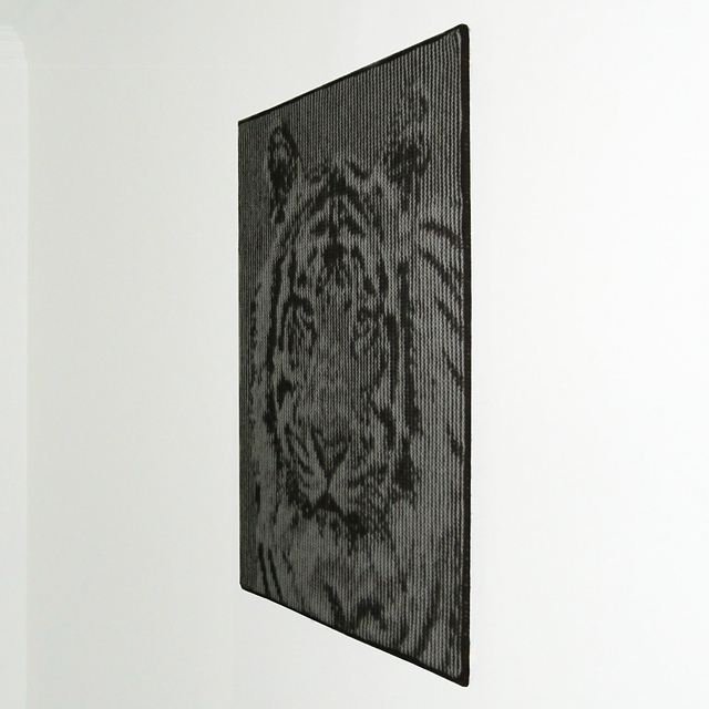 Tiger's Head Illusion